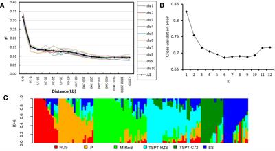 Identification of southern corn rust resistance QTNs in Chinese summer maize germplasm via multi-locus GWAS and post-GWAS analysis